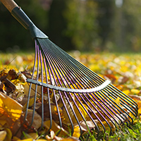 seasonal cleanup icon